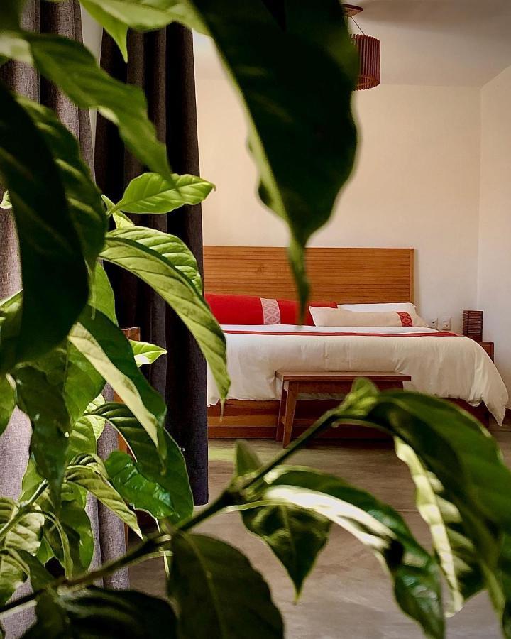 Casa Cafeologo Hotel San Cristobal de las Casas Bagian luar foto