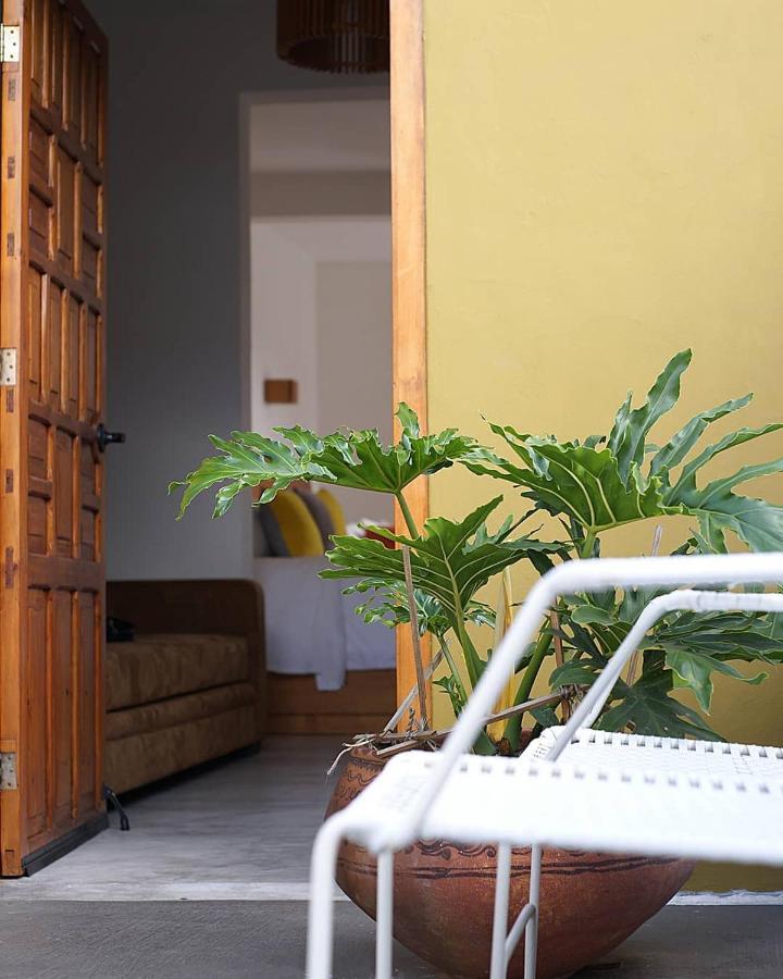 Casa Cafeologo Hotel San Cristobal de las Casas Bagian luar foto
